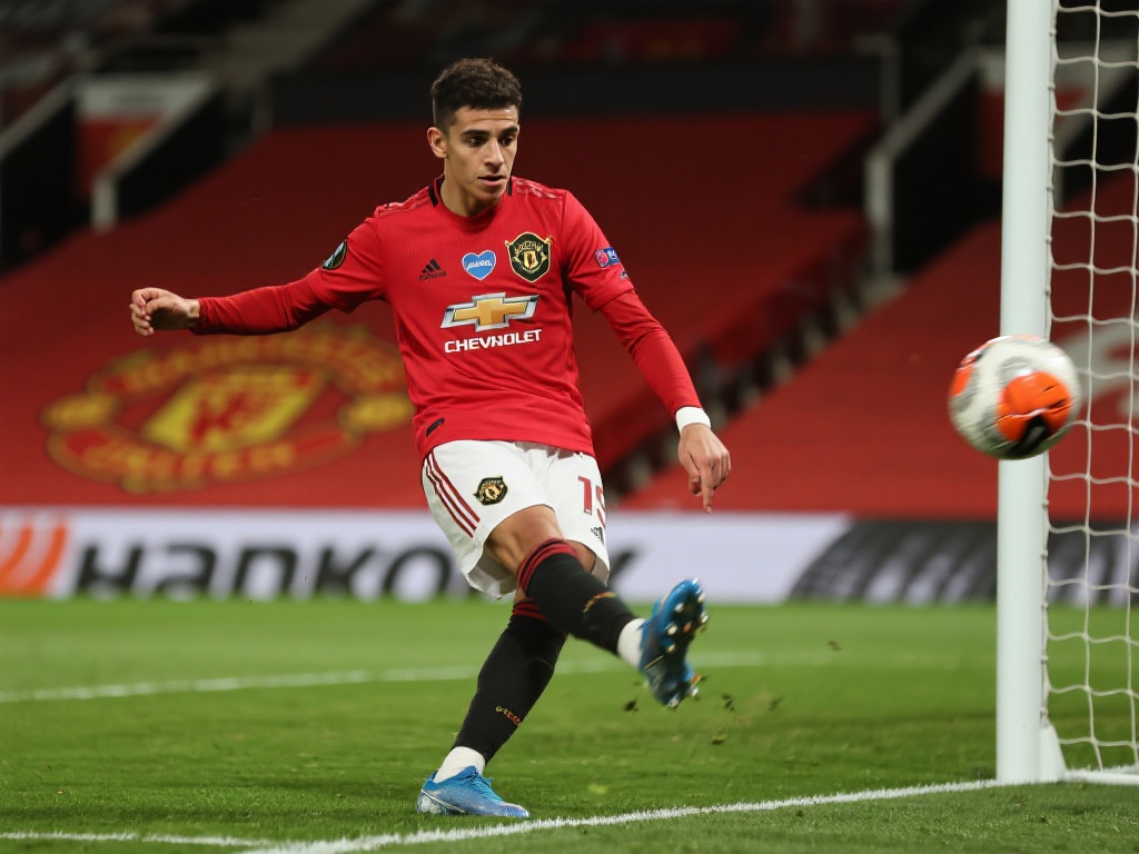 的成长也令 的成长也令